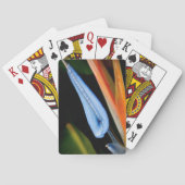 Foto des Paradieses Spielkarten (Rückseite)