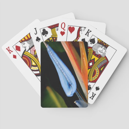 Foto des Paradieses Spielkarten (Rückseite)