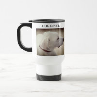 Foto des Profils des stumpfen Hundes Dunkle Schoko