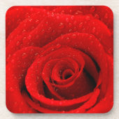 Foto des Rosen-Hintergrundes Getränkeuntersetzer (Vorderseite)
