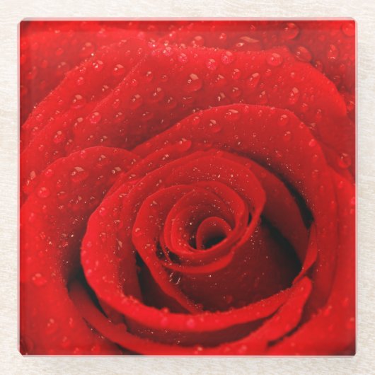 Foto des Rosen-Hintergrundes Glasuntersetzer (Vorderseite)