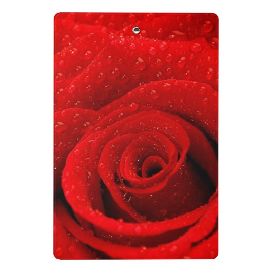Foto des Rosen-Hintergrundes Mini Klemmbrett (Rückseite)