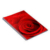 Foto des Rosen-Hintergrundes Notizblock (Rechte Seite)