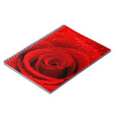 Foto des Rosen-Hintergrundes Notizblock (Linke Seite)