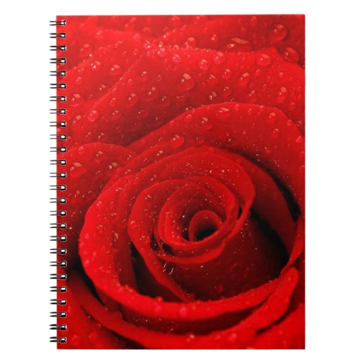 Foto des Rosen-Hintergrundes Notizblock (Vorderseite)
