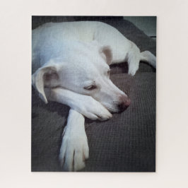 Foto des schlafenden weißen Hundes mit Niedlichen  Puzzle