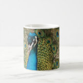 Foto des schönen Pfauens mit Spread Feathers Kaffeetasse (Mittel)