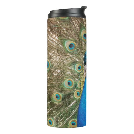 Foto des schönen Pfauens mit Spread Feathers Thermosbecher (Nach links gedreht)