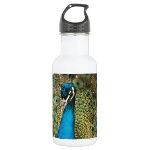 Foto des schönen Pfaus mit verbreiteten Federn Edelstahlflasche