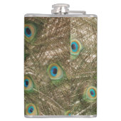 Foto des schönen Pfaus mit verbreiteten Federn Flachmann (Rückseite)