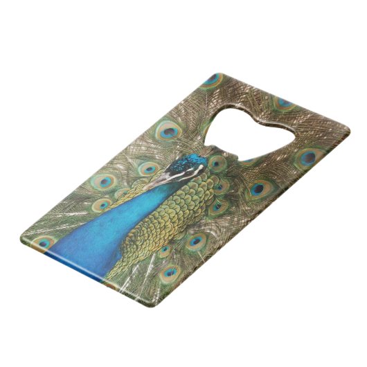 Foto des schönen Pfaus mit verbreiteten Federn Kreditkarten Flaschenöffner (Vorderseite Schrägansicht)