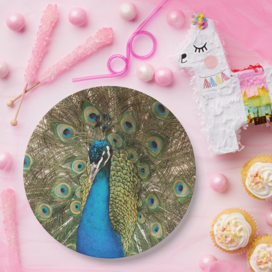 Foto des schönen Pfaus mit verbreiteten Federn Pappteller (Party)