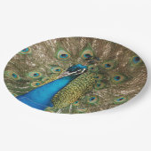 Foto des schönen Pfaus mit verbreiteten Federn Pappteller (Schrägansicht)