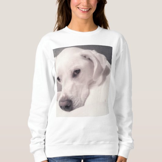 Foto des schönen Regal White Dog Sweatshirt (Vorderseite)