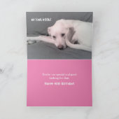 Foto des traurigen Hundes, der sich hinter dem Sch Karte (Innenseite)