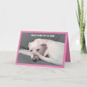 Foto des traurigen Hundes, der sich hinter dem Sch Karte (Vorderseite)