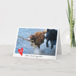 Foto des Valentines Tageshundeließ uns zusammen Feiertagskarte