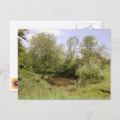 Foto des versteckten Teiches Postkarte (Vorne/Hinten)