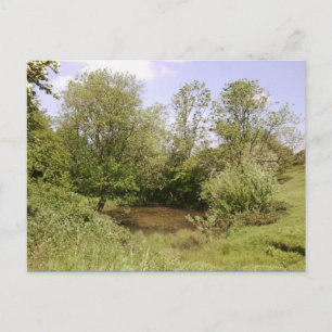 Foto des versteckten Teiches Postkarte