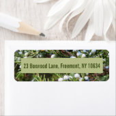 Foto des Wachpostens mit Rücksendeadresse (Insitu)