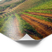 Foto des Weinberges der Toskana mit düsterem Himme (Ecke)