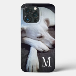 Foto des Weißen Hundes mit Niedlichem Single Case-Mate iPhone Hülle