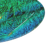 Foto-Design für Radiant Peacock Feathers Schneidebrett (Ecke)