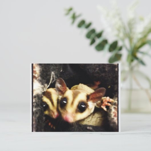 Foto-Design Postkarte (Stehend Vorderseite)