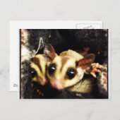 Foto-Design Postkarte (Vorne/Hinten)