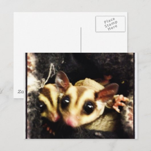 Foto-Design Postkarte (Vorne/Hinten)