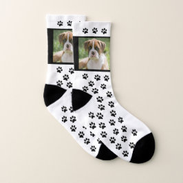 Foto Dog Foto Socken - Bilderset