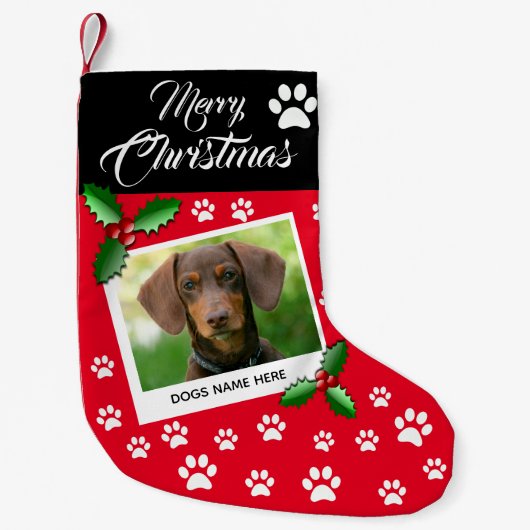 Foto Dog Weihnachts-Strümpfe Kleiner Weihnachtsstrumpf (Vorderseite)