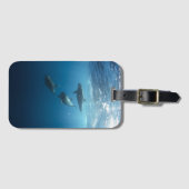 Foto Dolphin Gepäckanhänger (Vorderseite (Horizontal))