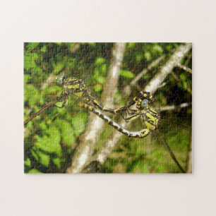 Foto Dragonflies Puzzle & Geschenkboxen