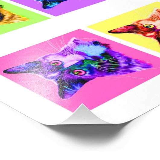 Foto-Druck 8x10" Regenbogen/Weißkatzenportrait Fotodruck (Ecke)