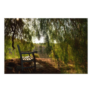 Foto-Druck der hölzernen Bank-[24x20] Fotodruck