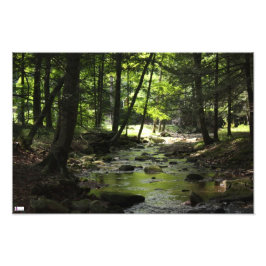 Foto-Druck Fotodruck