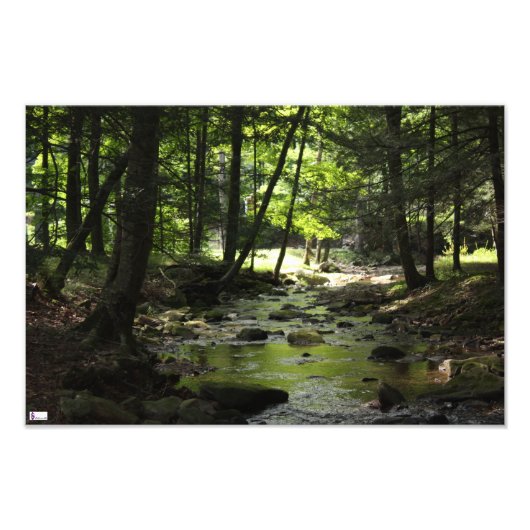 Foto-Druck Fotodruck (Vorne)