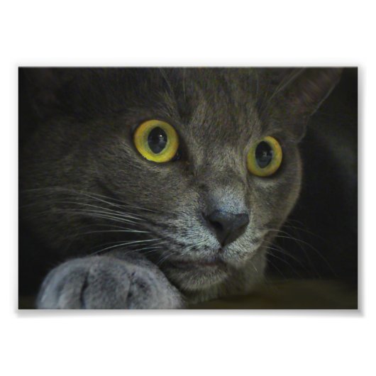 Foto drucken (Vorne)