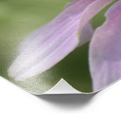 FOTO-DRUCKEN FOTODRUCK (Ecke)