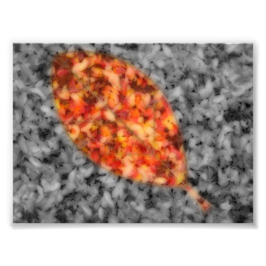 Foto drucken mit hellen Schatten (Vorne)