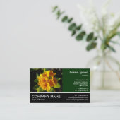 Foto - dunkelgrün - Primrosen Visitenkarte (Stehend Vorderseite)