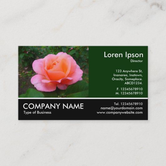 Foto - dunkelgrün - rosa Rose Visitenkarte (Vorderseite)