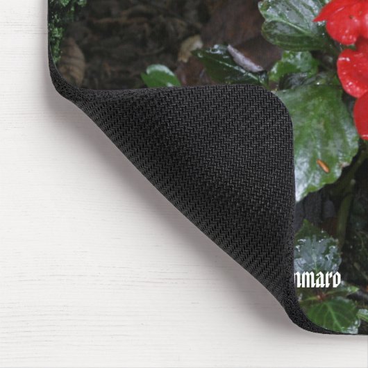 Foto durch John Tammaro Mousepad (Ecke)