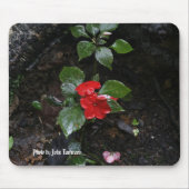 Foto durch John Tammaro Mousepad (Vorne)