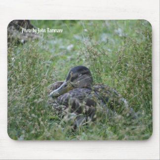 Foto durch John Tammaro Mousepad