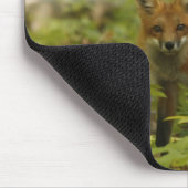 Foto durch John Tammaro Mousepad (Ecke)