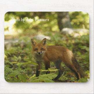 Foto durch John Tammaro Mousepad