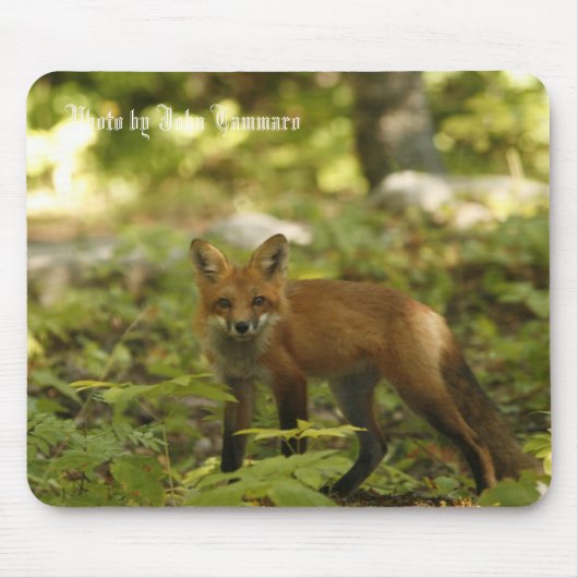 Foto durch John Tammaro Mousepad (Vorne)