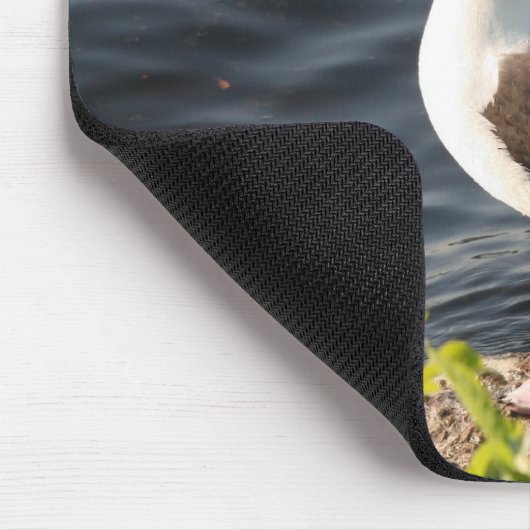 Foto durch John Tammaro Mousepad (Ecke)